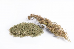 Fogliamea-CBD-01
