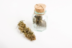 Selezione-Fioresativo-CBD13-01