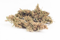 Selezione-Fioresativo-CBD13-02